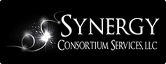 Synergy Consortium